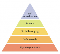 Maslow's Hierarchy